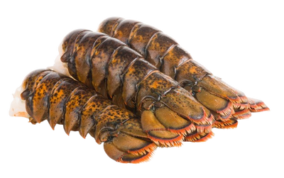 Canadian Lobster Tail 1 pc