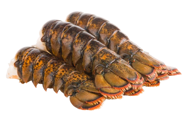 Canadian Lobster Tail 1 pc