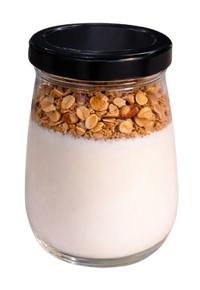 Homemade Greek Yogurt with Granola