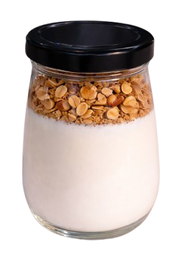 Homemade Greek Yogurt with Granola