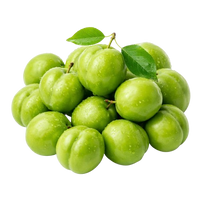Green Cherry Plum Janerik Uzbekistan