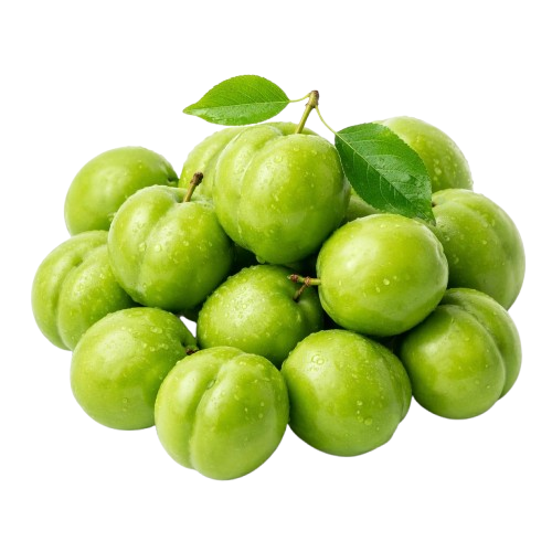 Green Cherry Plum Janerik Uzbekistan