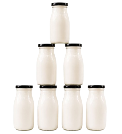 Vegan Lactose-Free Probiotic Kefir Complex for 7 days(no added sugar)
