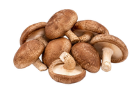 Shiitake Mushrooms