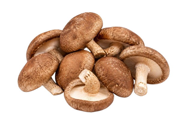 Shiitake Mushrooms