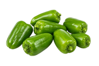 Holland Mini Green Capsicum