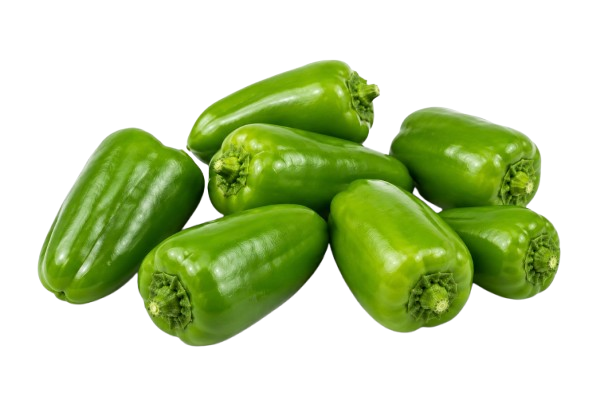 Holland Mini Green Capsicum