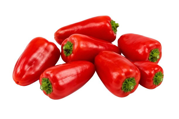Holland Mini Red Capsicum