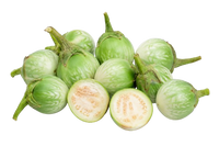 Mini Green Round  Eggplant