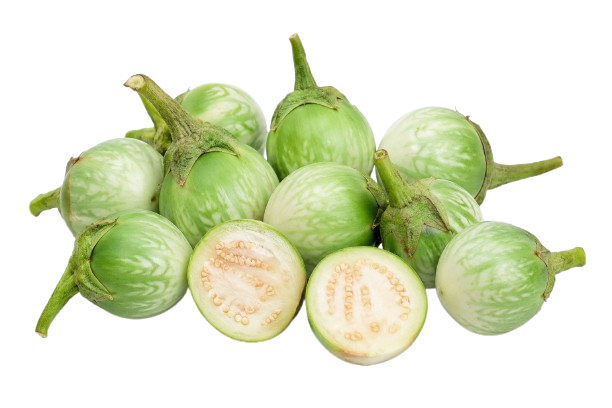 Mini Green Round  Eggplant