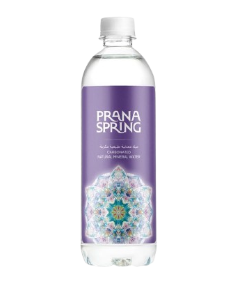 Prana Spring Water Carbonated 500 ml