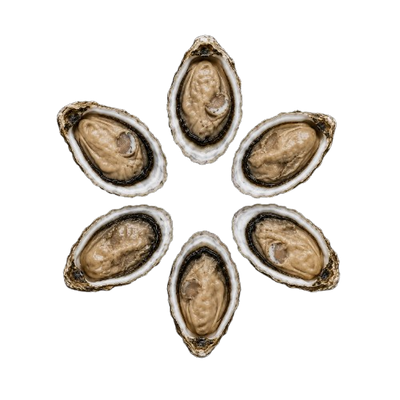Ireland Oysters № 3 (6 pcs closed)