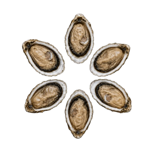 Ireland Oysters № 4 (6 pcs closed)