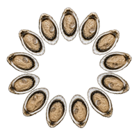 Ireland Oysters № 3 (12 pcs closed)