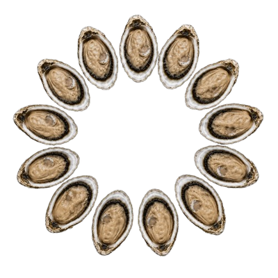 Ireland Oysters № 3 (12 pcs closed)