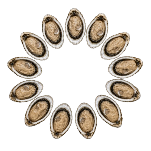 Ireland Oysters № 3 (12 pcs closed)