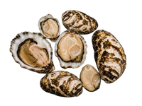 Japan Oysters № 4 (6 pcs closed)