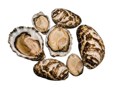 Japan Oysters № 4 (6 pcs closed)