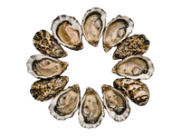 Japan Oysters № 4 (12 pcs closed)