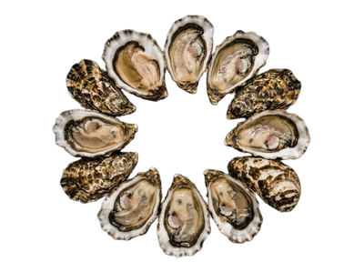 Japan Oysters № 4 (12 pcs closed)