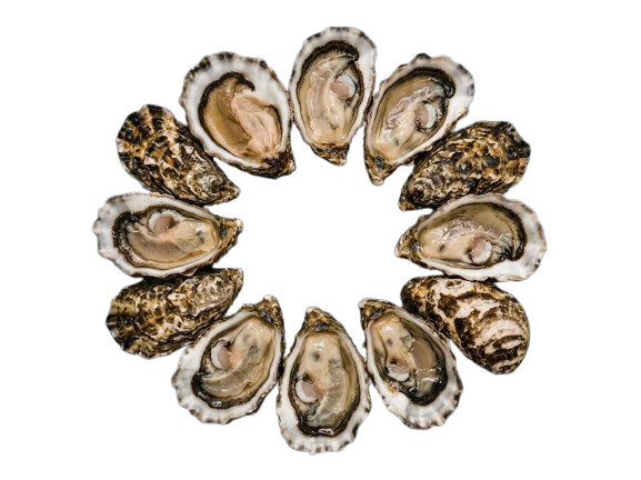 Japan Oysters № 4 (12 pcs closed)