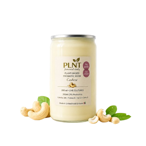 Vegan Lactose-Free Probiotic Kefir (no added sugar)