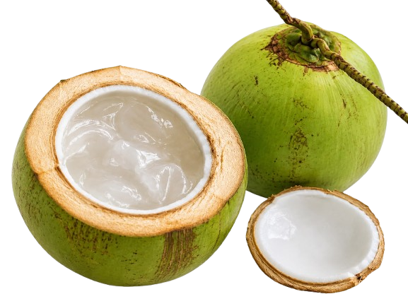 Jelly coconut