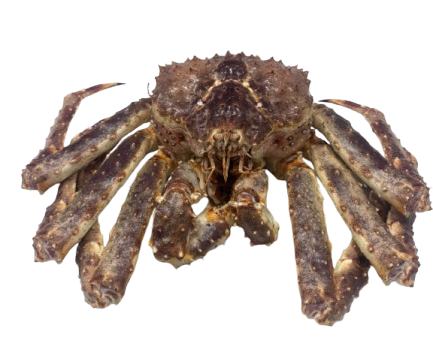 Heritage Frozen Whole King Crab (Raw)