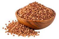 Buckwheat From Uzbekistan