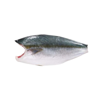 Wild Japanese Hamachi (Yellowtail) Filet