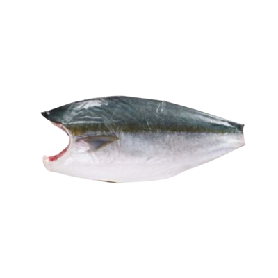 Wild Japanese Hamachi (Yellowtail) Filet