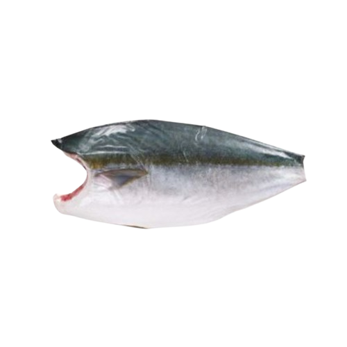 Wild Japanese Hamachi (Yellowtail) Filet