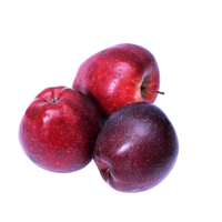 Crepson Apples Uzbekistan