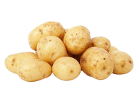 Potato