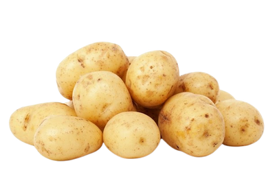 Potato