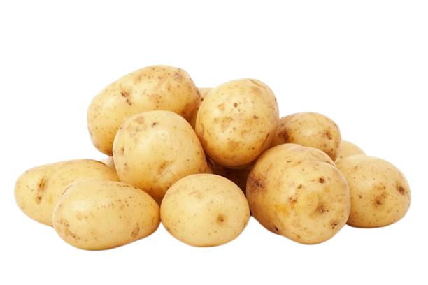 Potato