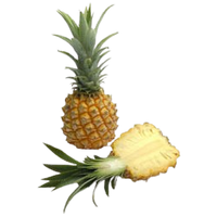 Baby Pineapple 1 pc