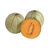 Cantaloupe Melon From Uzbekistan
