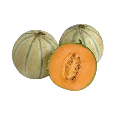 Cantaloupe Melon From Uzbekistan