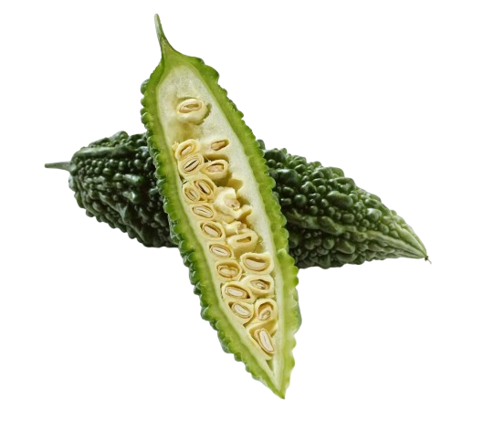Bitter Gourd