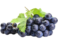 Black Grape Spain