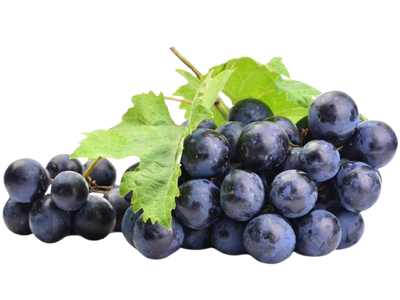 Black Grape Spain
