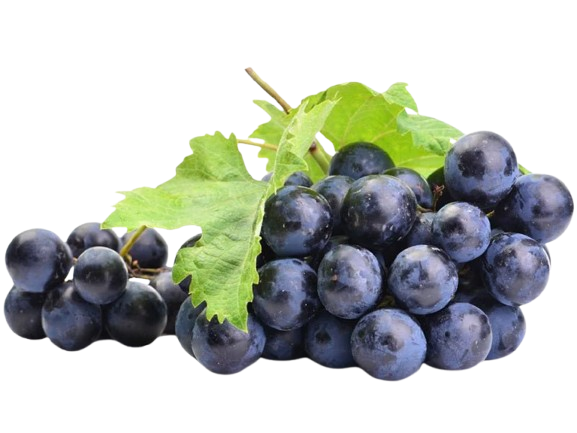 Black Grape Spain