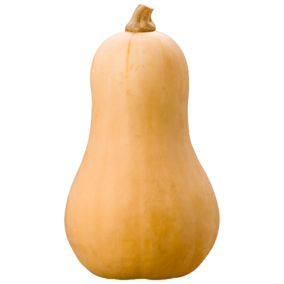 Butternut Pumpkin Uzbekistan 1 pc