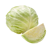White Gabbage 1 pc (1.8-2 kg)