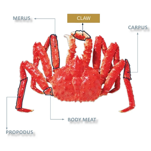 Heritage Snow Crab Opilio Cooked IQF Cocktail Claw