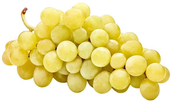 Grape Cotton Candy