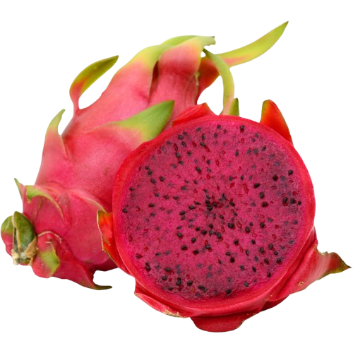 Dragon Fruit RED ~1 pc