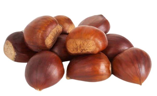 Chesnut Raw
