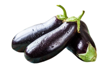 Eggplants  Medium Uzbekistan